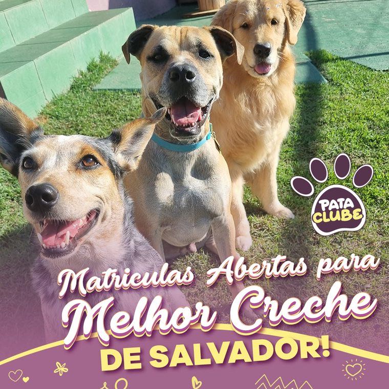 Matrículas abertas na Pata Clube