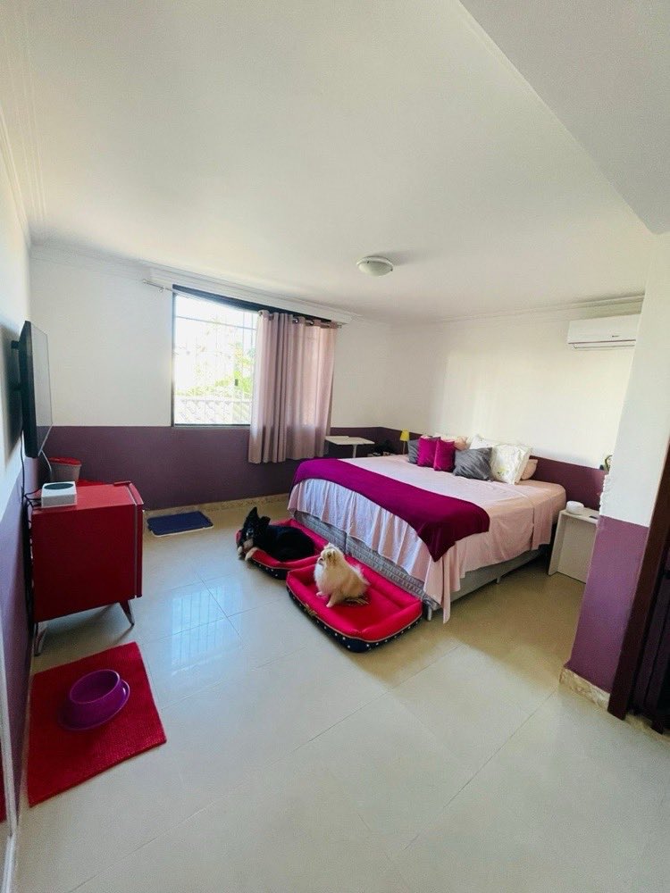 Quarto do hotel da Pata Clube com caminhas e cães descansando