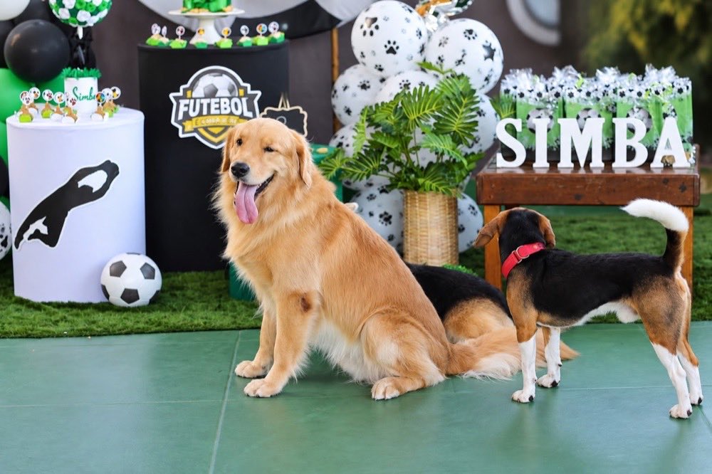 Festa de aniversário com tema de futebol: painel, lembrancinhas e o nome do aniversariante